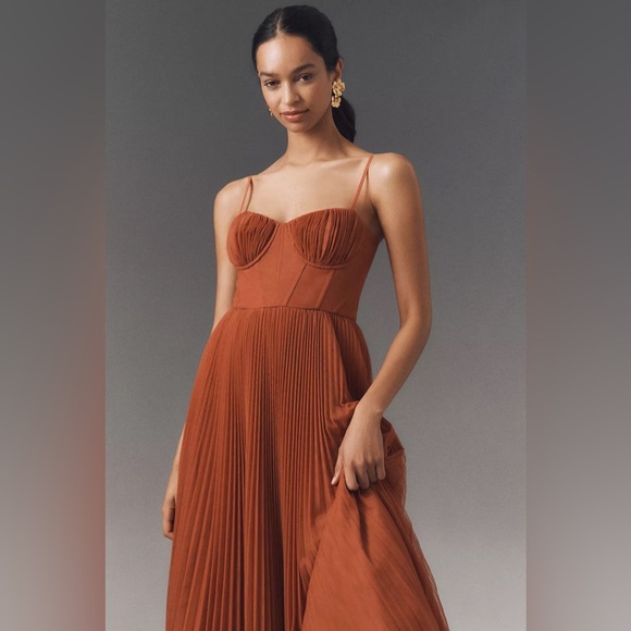 Hutch Amara Corset Pleated Tulle Dress (New in bag, sealed) - Picture 1 of 5